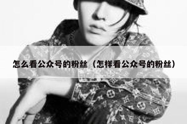 怎么看公众号的粉丝（怎样看公众号的粉丝） 第1张