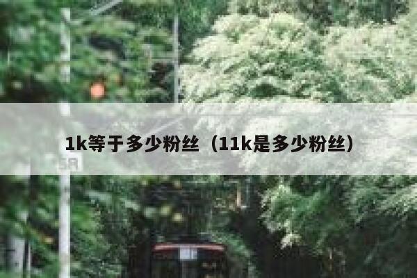 1k等于多少粉丝（11k是多少粉丝） 第1张