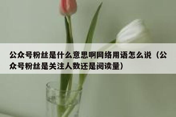 公众号粉丝是什么意思啊网络用语怎么说（公众号粉丝是关注人数还是阅读量） 第1张