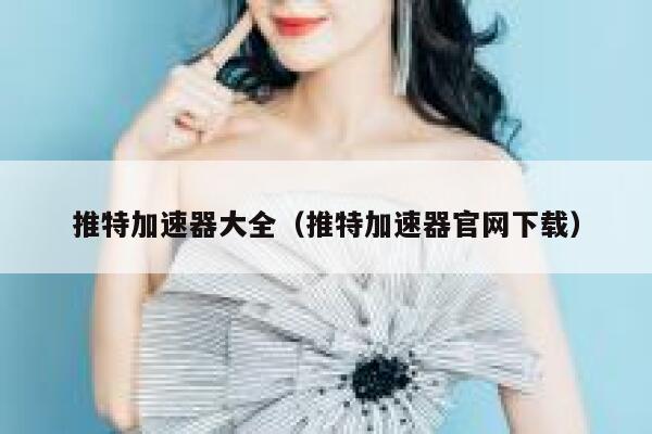 推特加速器大全（推特加速器官网下载） 第1张