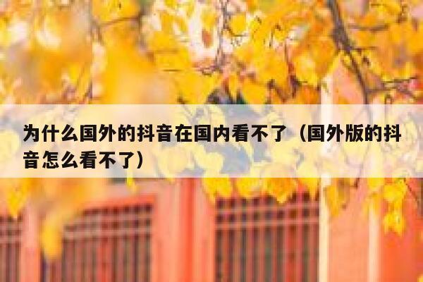 为什么国外的抖音在国内看不了（国外版的抖音怎么看不了） 第1张