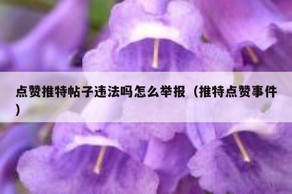 点赞推特帖子违法吗怎么举报（推特点赞事件） 第1张