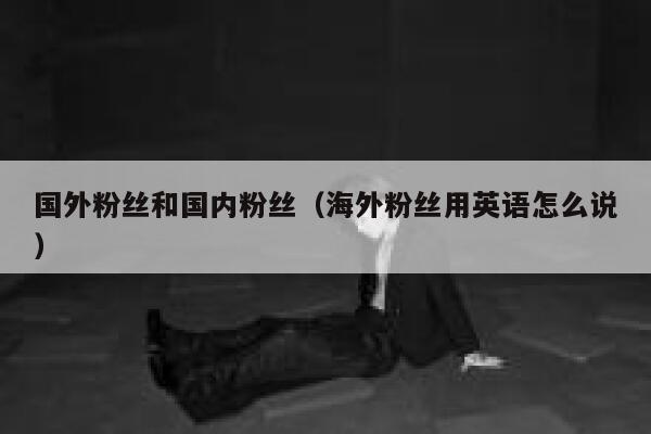 国外粉丝和国内粉丝（海外粉丝用英语怎么说） 第1张