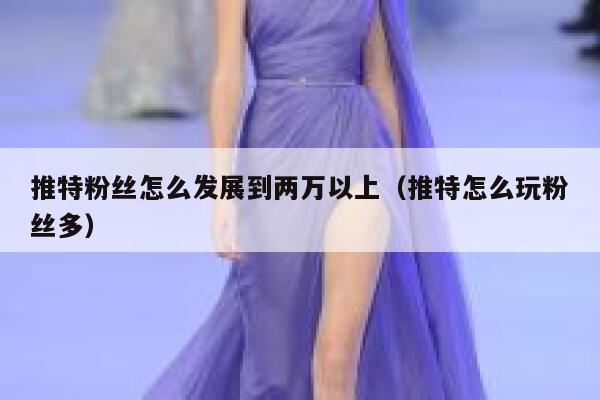推特粉丝怎么发展到两万以上（推特怎么玩粉丝多） 第1张