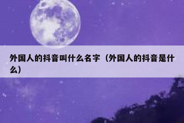 外国人的抖音叫什么名字（外国人的抖音是什么） 第1张