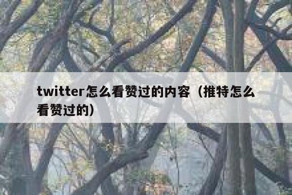 twitter怎么看赞过的内容（推特怎么看赞过的） 第1张