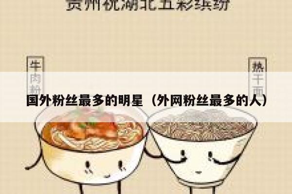 国外粉丝最多的明星（外网粉丝最多的人） 第1张