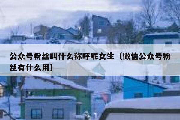 公众号粉丝叫什么称呼呢女生（微信公众号粉丝有什么用） 第1张