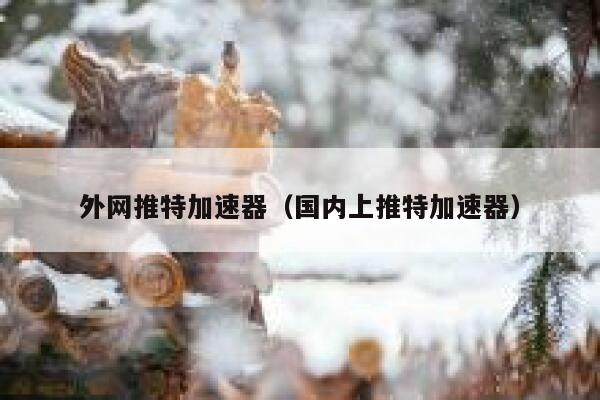 外网推特加速器（国内上推特加速器） 第1张