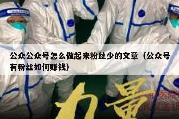 公众公众号怎么做起来粉丝少的文章（公众号有粉丝如何赚钱） 第1张