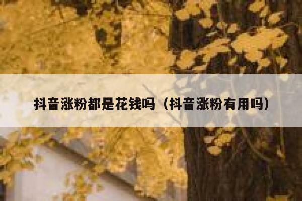 抖音涨粉都是花钱吗（抖音涨粉有用吗） 第1张