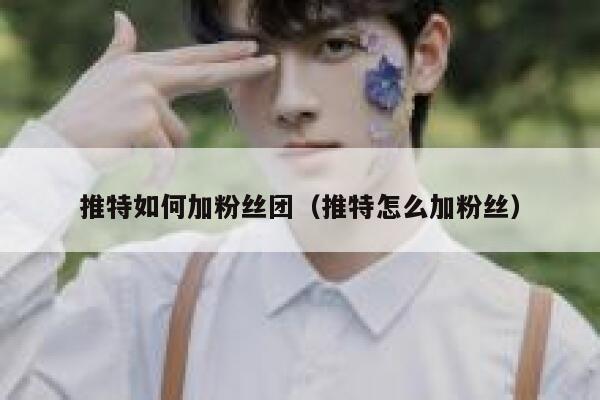推特如何加粉丝团（推特怎么加粉丝） 第1张