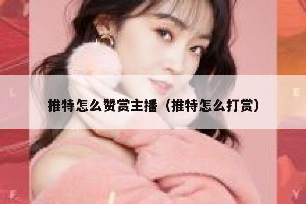 推特怎么赞赏主播（推特怎么打赏） 第1张