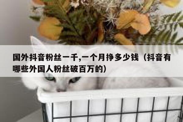 国外抖音粉丝一千,一个月挣多少钱（抖音有哪些外国人粉丝破百万的） 第1张