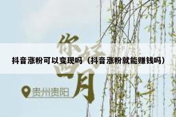 抖音涨粉可以变现吗（抖音涨粉就能赚钱吗） 第1张