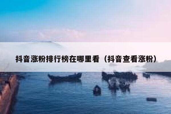 抖音涨粉排行榜在哪里看（抖音查看涨粉） 第1张