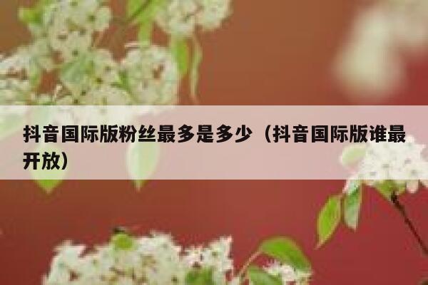 抖音国际版粉丝最多是多少（抖音国际版谁最开放） 第1张