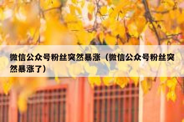 微信公众号粉丝突然暴涨（微信公众号粉丝突然暴涨了） 第1张