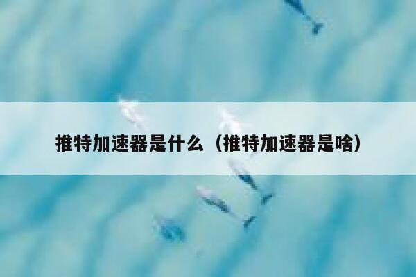 推特加速器是什么（推特加速器是啥） 第1张
