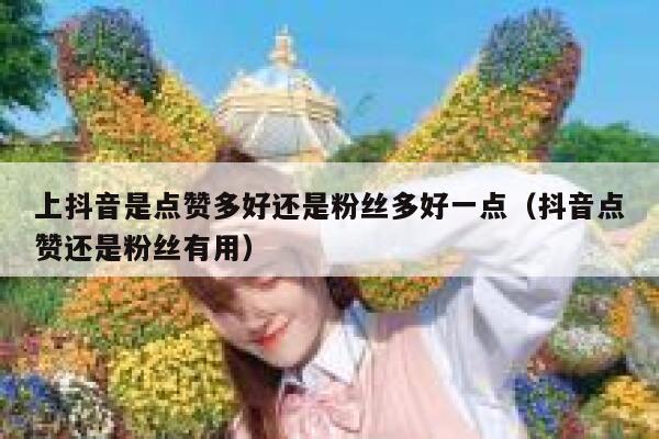 上抖音是点赞多好还是粉丝多好一点(抖音点赞还是粉丝有用) 第1张 上抖音是点赞多好还是粉丝多好一点(抖音点赞还是粉丝有用) 第1张