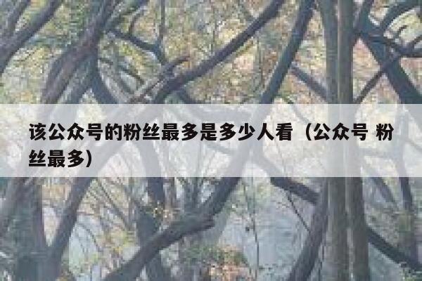 该公众号的粉丝最多是多少人看（公众号 粉丝最多） 第1张