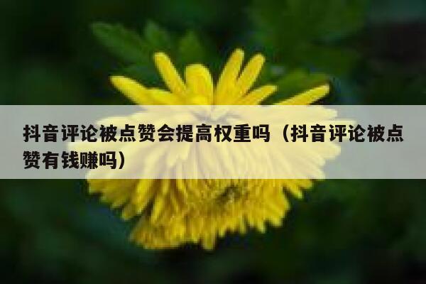 抖音评论被点赞会提高权重吗（抖音评论被点赞有钱赚吗） 第1张