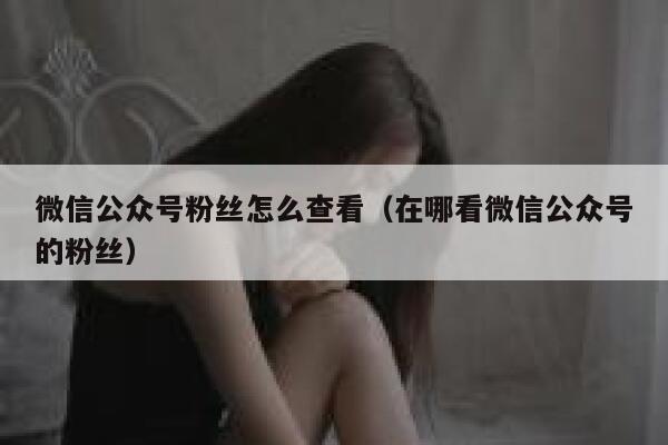 微信公众号粉丝怎么查看（在哪看微信公众号的粉丝） 第1张