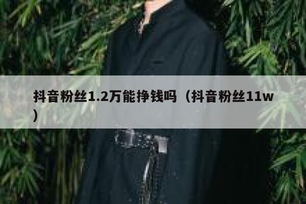 抖音粉丝1.2万能挣钱吗（抖音粉丝11w） 第1张