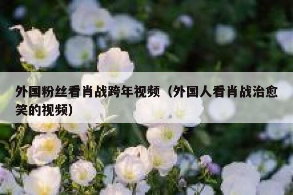外国粉丝看肖战跨年视频（外国人看肖战治愈笑的视频） 第1张