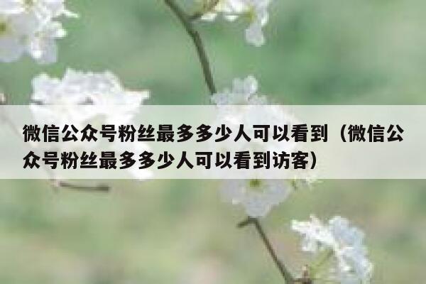 微信公众号粉丝最多多少人可以看到（微信公众号粉丝最多多少人可以看到访客） 第1张