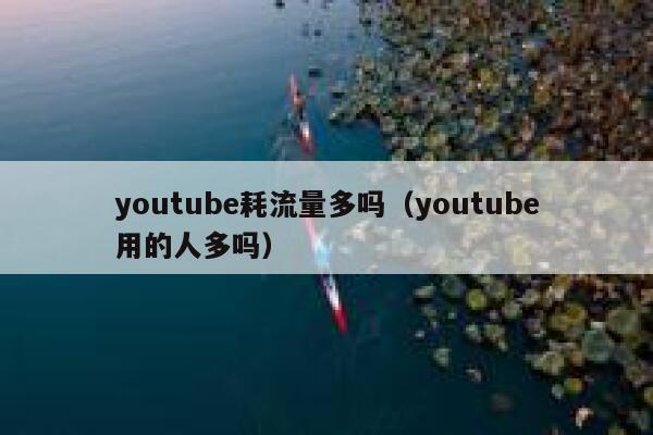 youtube耗流量多吗（youtube用的人多吗） 第1张