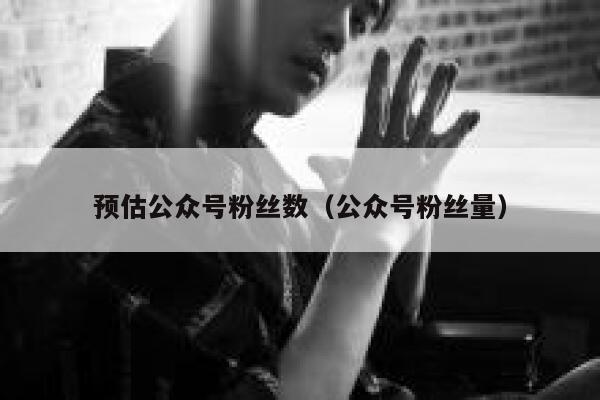 预估公众号粉丝数（公众号粉丝量） 第1张