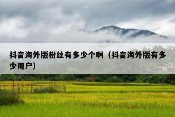 抖音海外版粉丝有多少个啊（抖音海外版有多少用户） 第1张