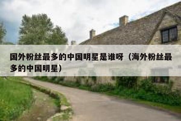 国外粉丝最多的中国明星是谁呀（海外粉丝最多的中国明星） 第1张