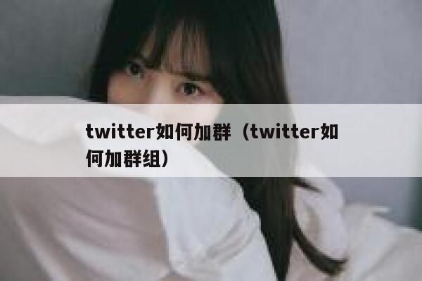 twitter如何加群（twitter如何加群组） 第1张