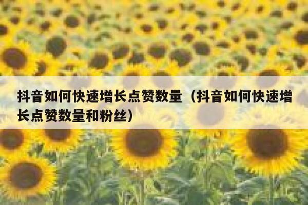 抖音如何快速增长点赞数量（抖音如何快速增长点赞数量和粉丝） 第1张