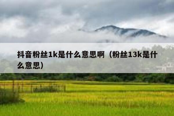 抖音粉丝1k是什么意思啊（粉丝13k是什么意思） 第1张