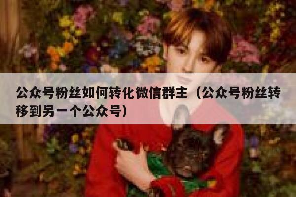 公众号粉丝如何转化微信群主（公众号粉丝转移到另一个公众号） 第1张