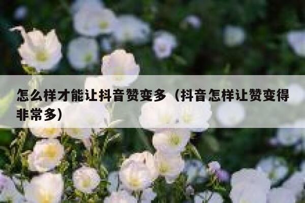 怎么样才能让抖音赞变多（抖音怎样让赞变得非常多） 第1张