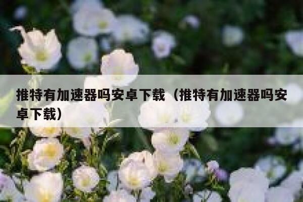 推特有加速器吗安卓下载（推特有加速器吗安卓下载） 第1张
