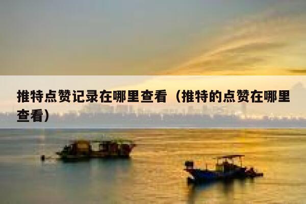 推特点赞记录在哪里查看（推特的点赞在哪里查看） 第1张
