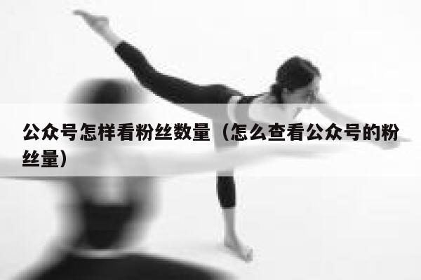 公众号怎样看粉丝数量（怎么查看公众号的粉丝量） 第1张
