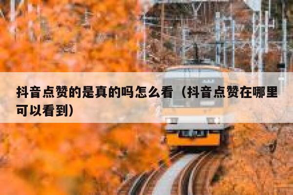 抖音点赞的是真的吗怎么看（抖音点赞在哪里可以看到） 第1张