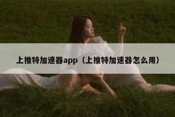 上推特加速器app（上推特加速器怎么用） 第1张