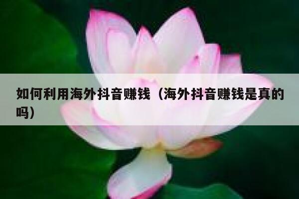 如何利用海外抖音赚钱（海外抖音赚钱是真的吗） 第1张