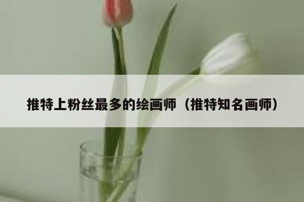 推特上粉丝最多的绘画师（推特知名画师） 第1张