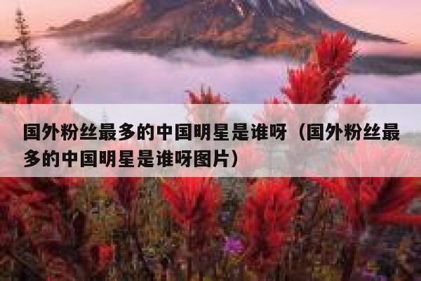国外粉丝最多的中国明星是谁呀（国外粉丝最多的中国明星是谁呀图片） 第1张