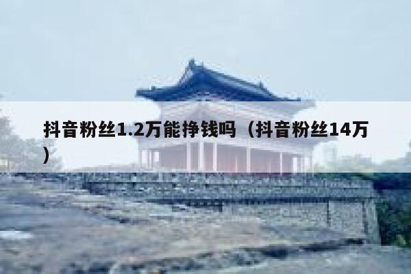 抖音粉丝1.2万能挣钱吗（抖音粉丝14万） 第1张