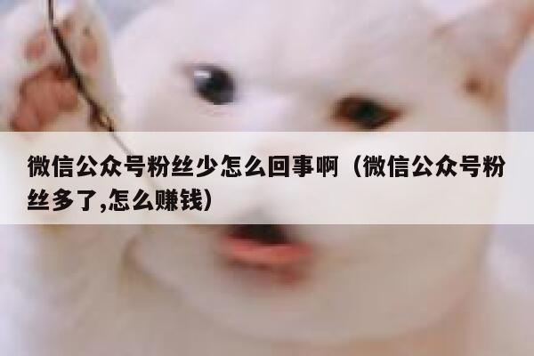 微信公众号粉丝少怎么回事啊（微信公众号粉丝多了,怎么赚钱） 第1张