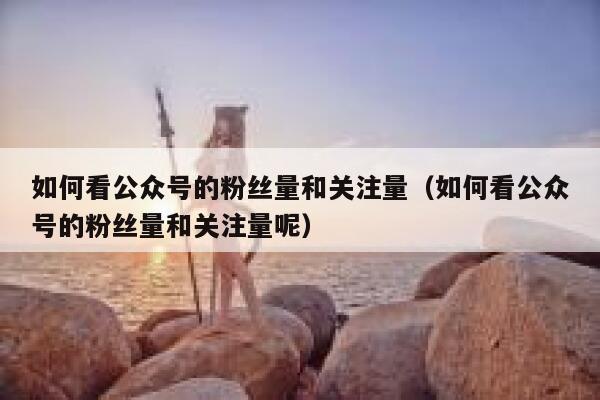 如何看公众号的粉丝量和关注量（如何看公众号的粉丝量和关注量呢） 第1张